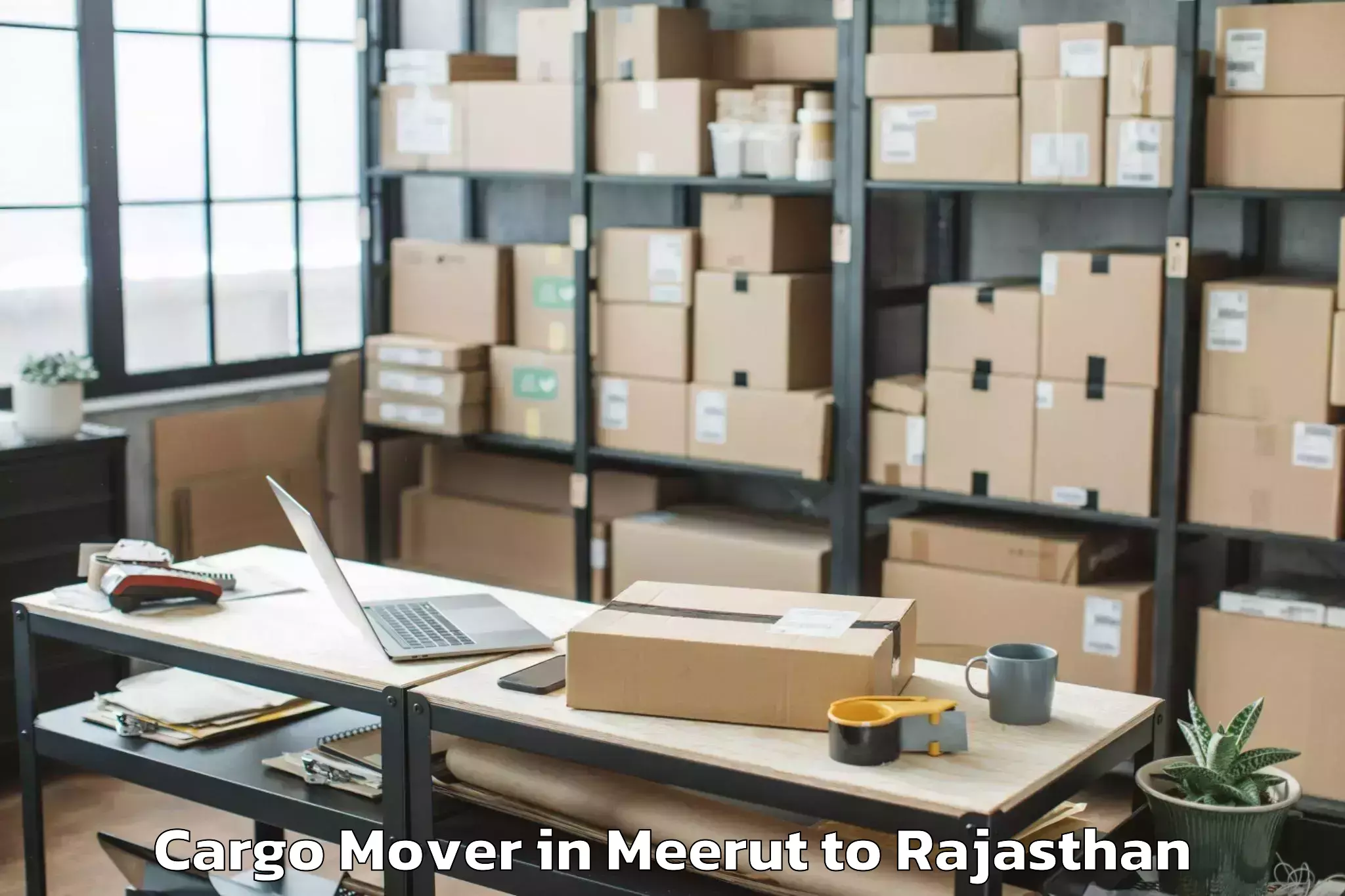 Book Meerut to Reengus Cargo Mover